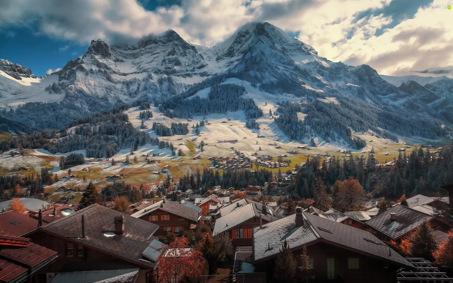 Houses, Snowy, viewes, winter, trees, Mountains