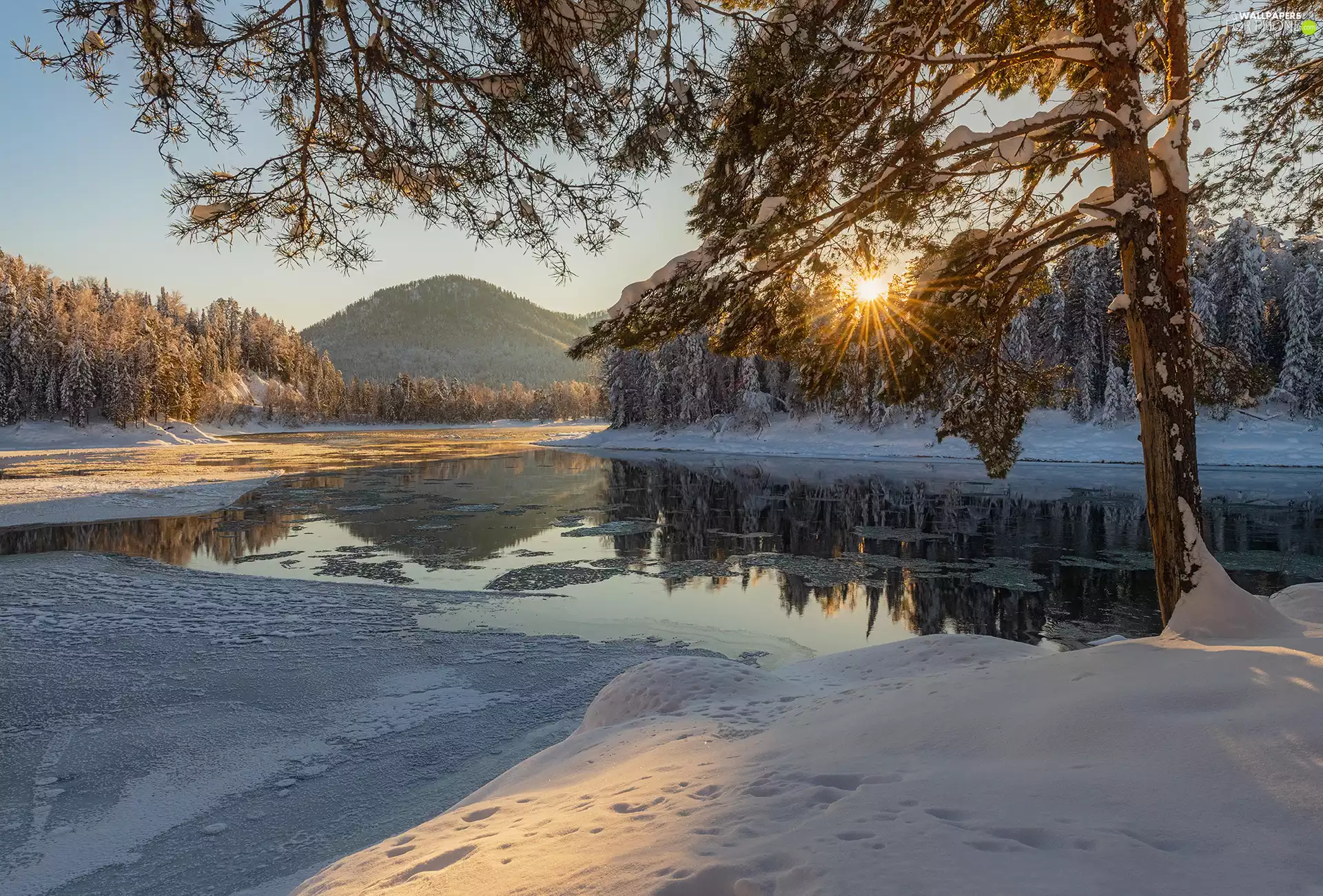 Mountains, trees, Russia, viewes, Altai, River, winter, rays of the Sun