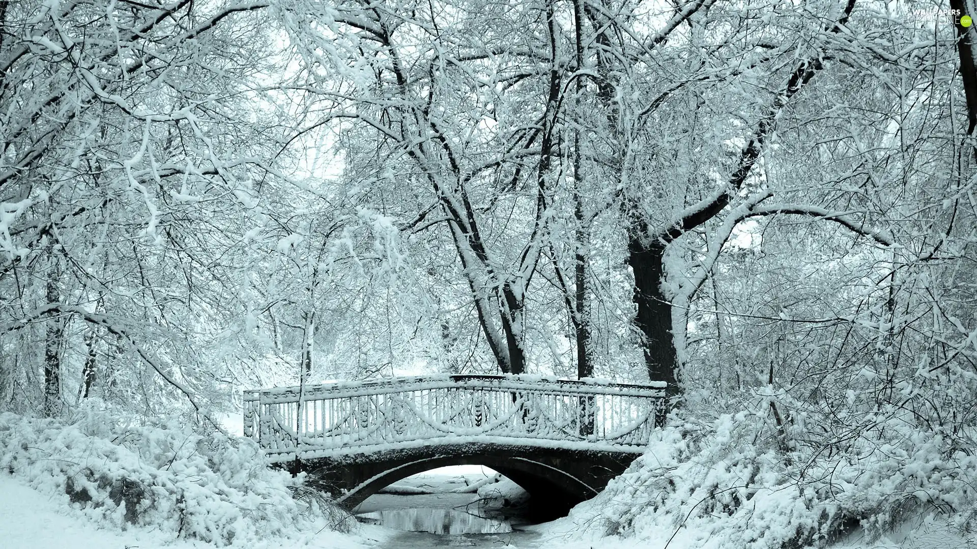 River, Park, winter, bridges