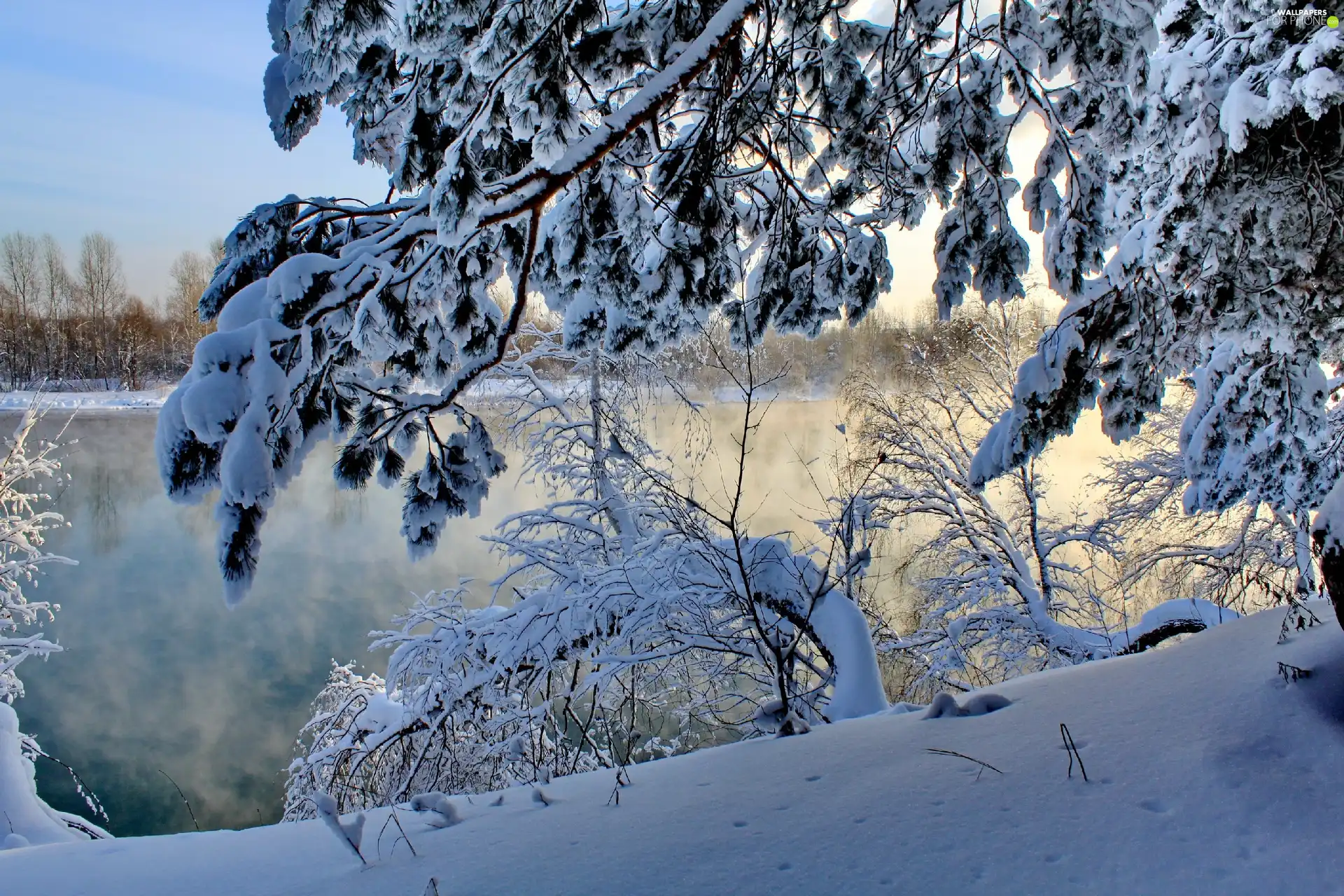 River, viewes, winter, trees