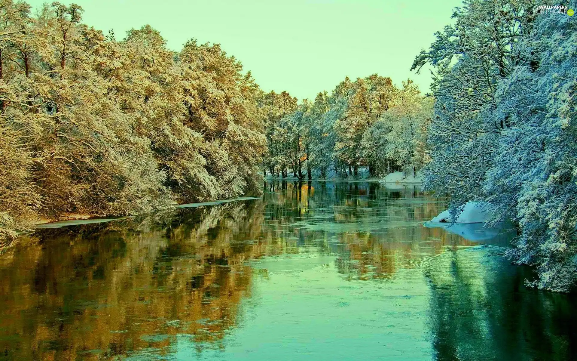 River, viewes, winter, trees