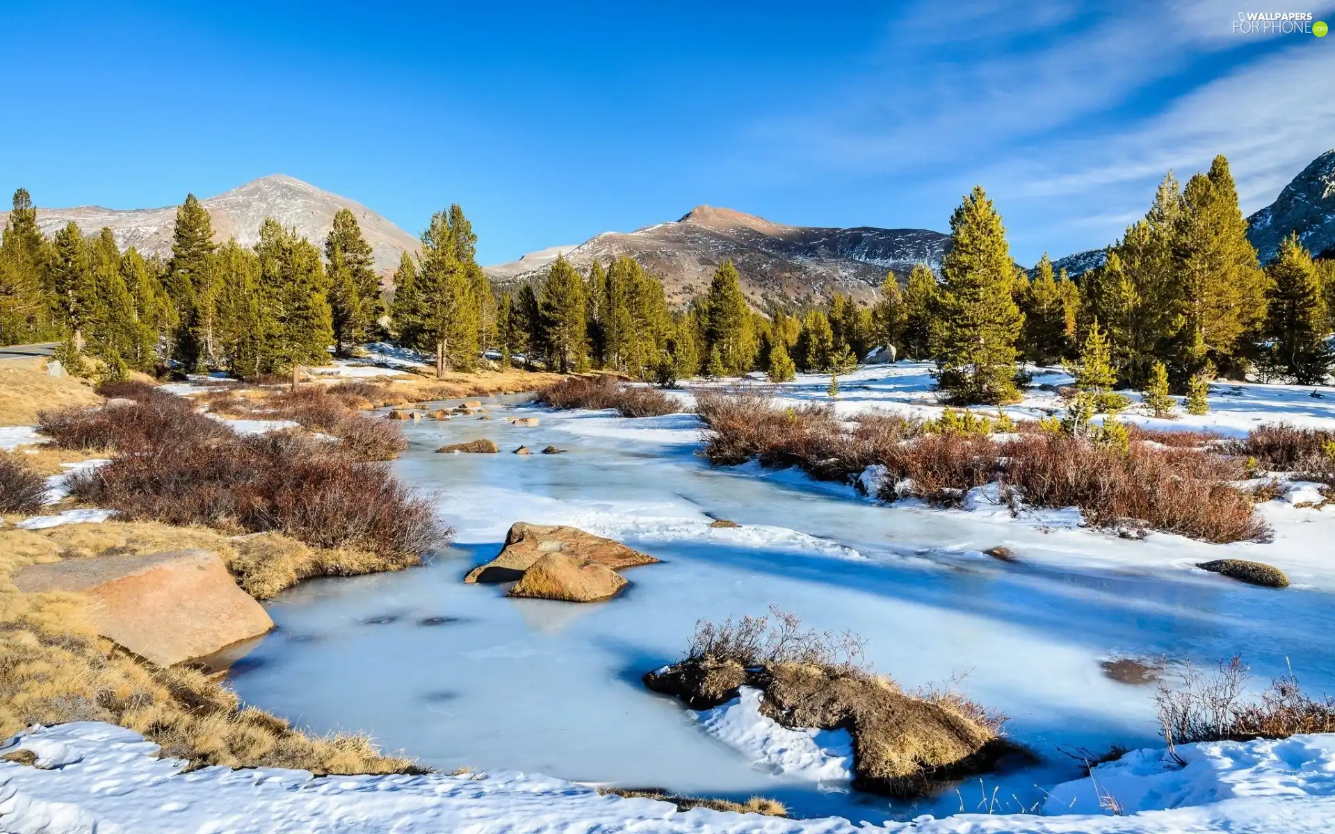 River, woods, winter, Mountains