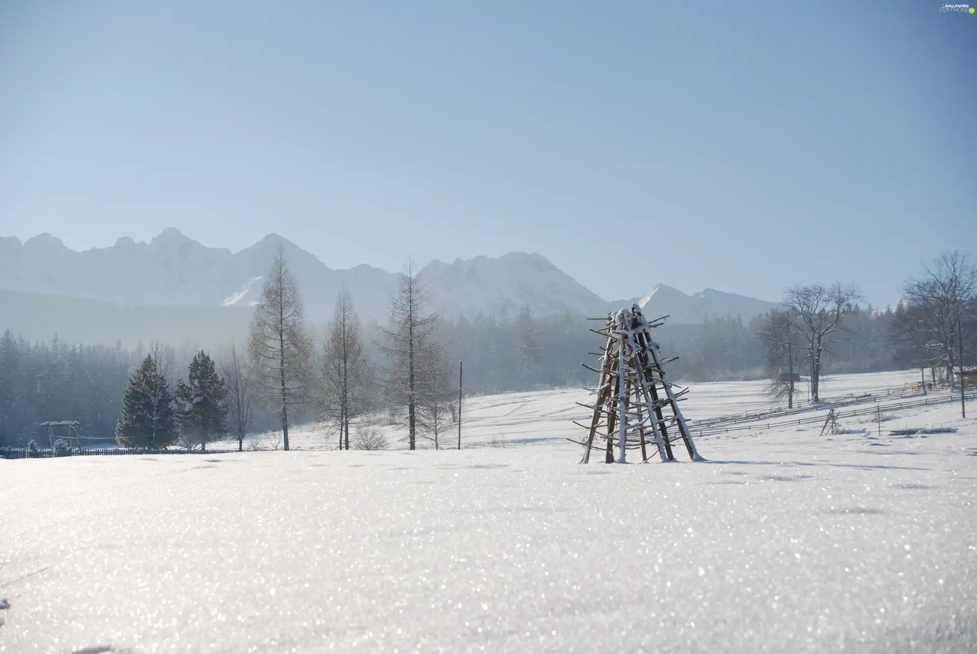 winter, cover, snow