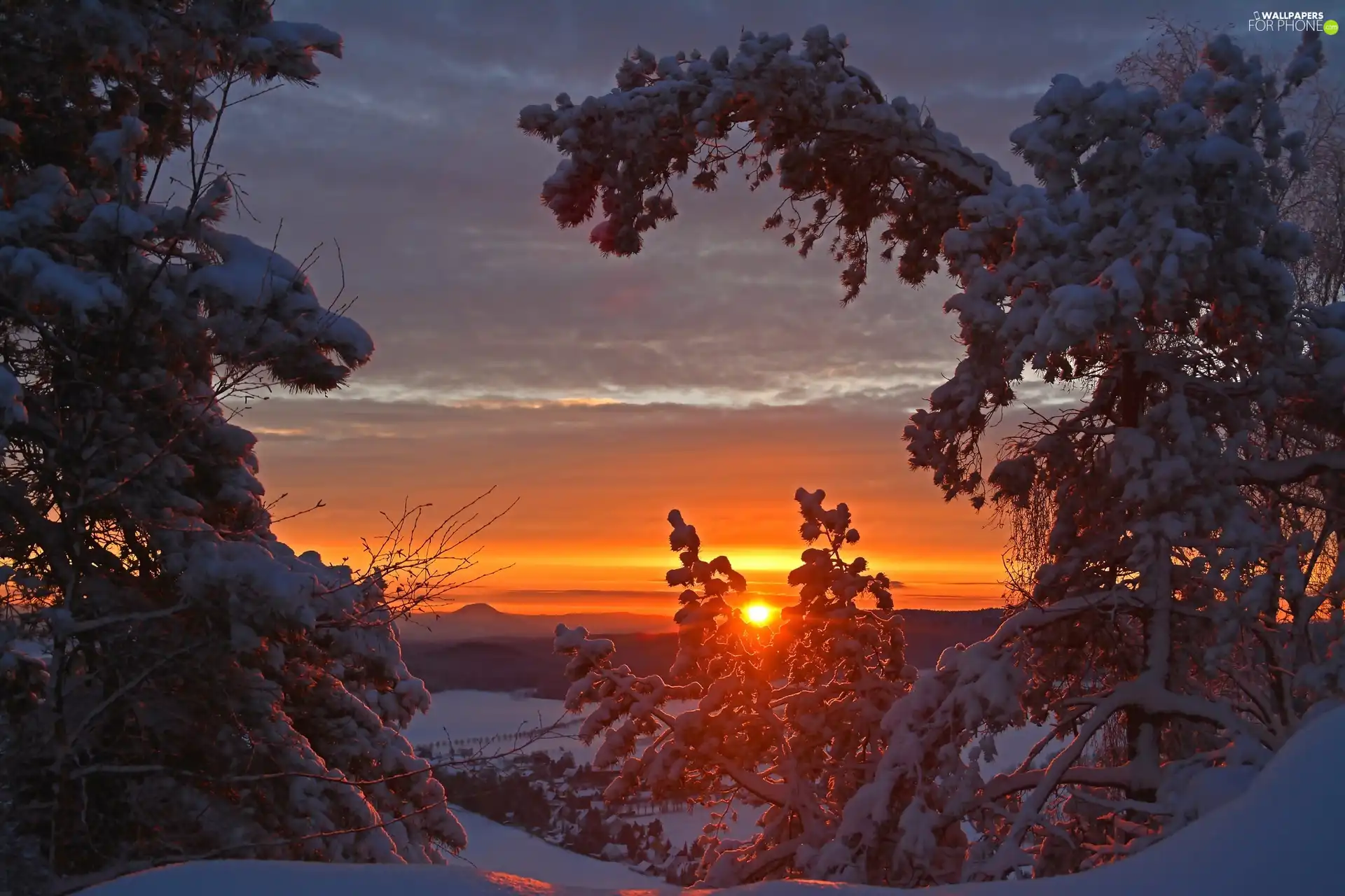 Great Sunsets, viewes, winter, trees
