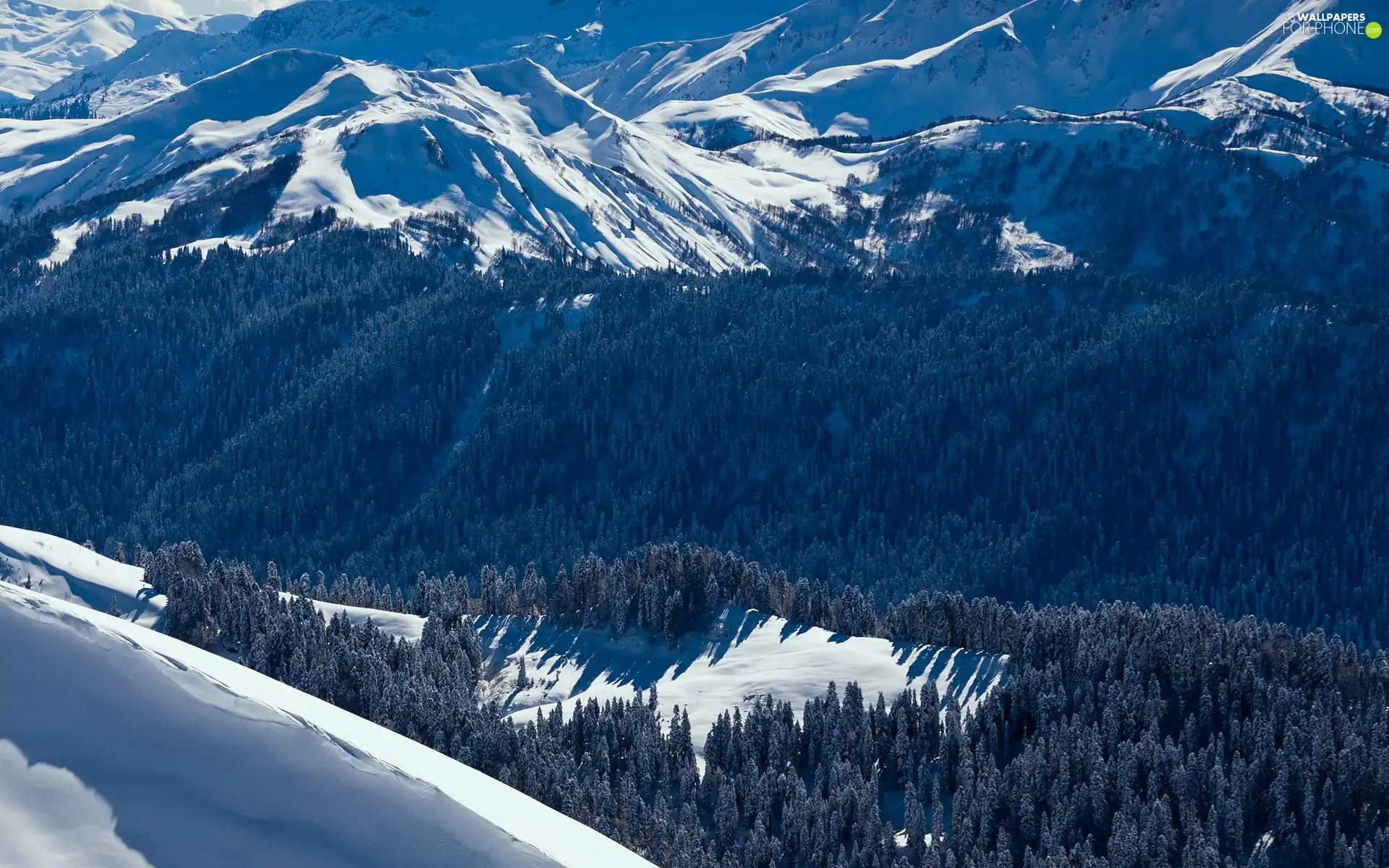 winter, Mountains, woods