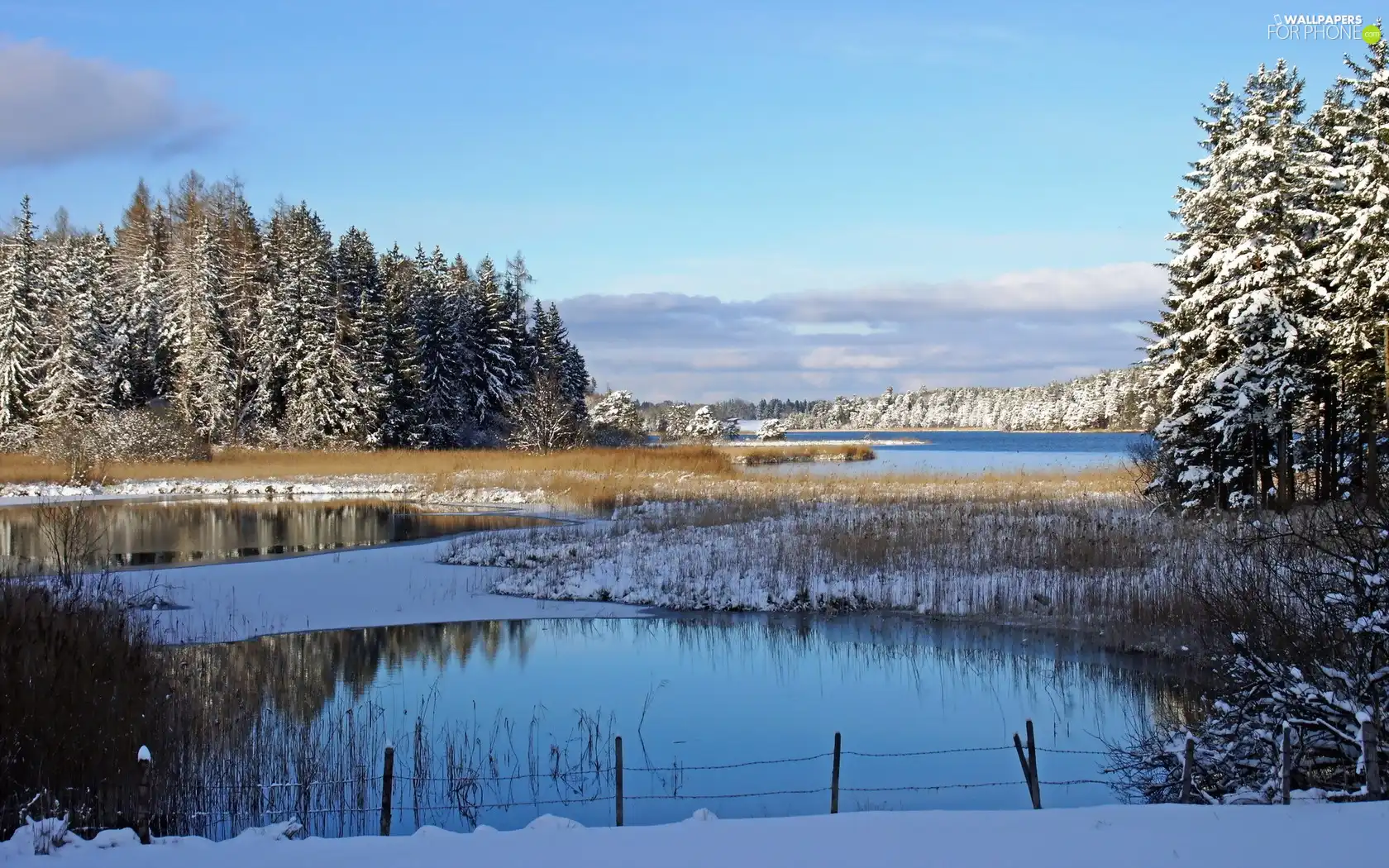 winter, River, woods