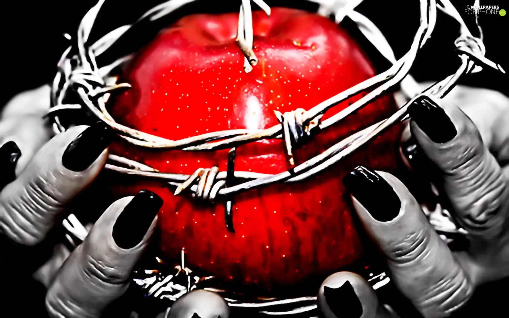 wire, prickly, Apple, hands, Red
