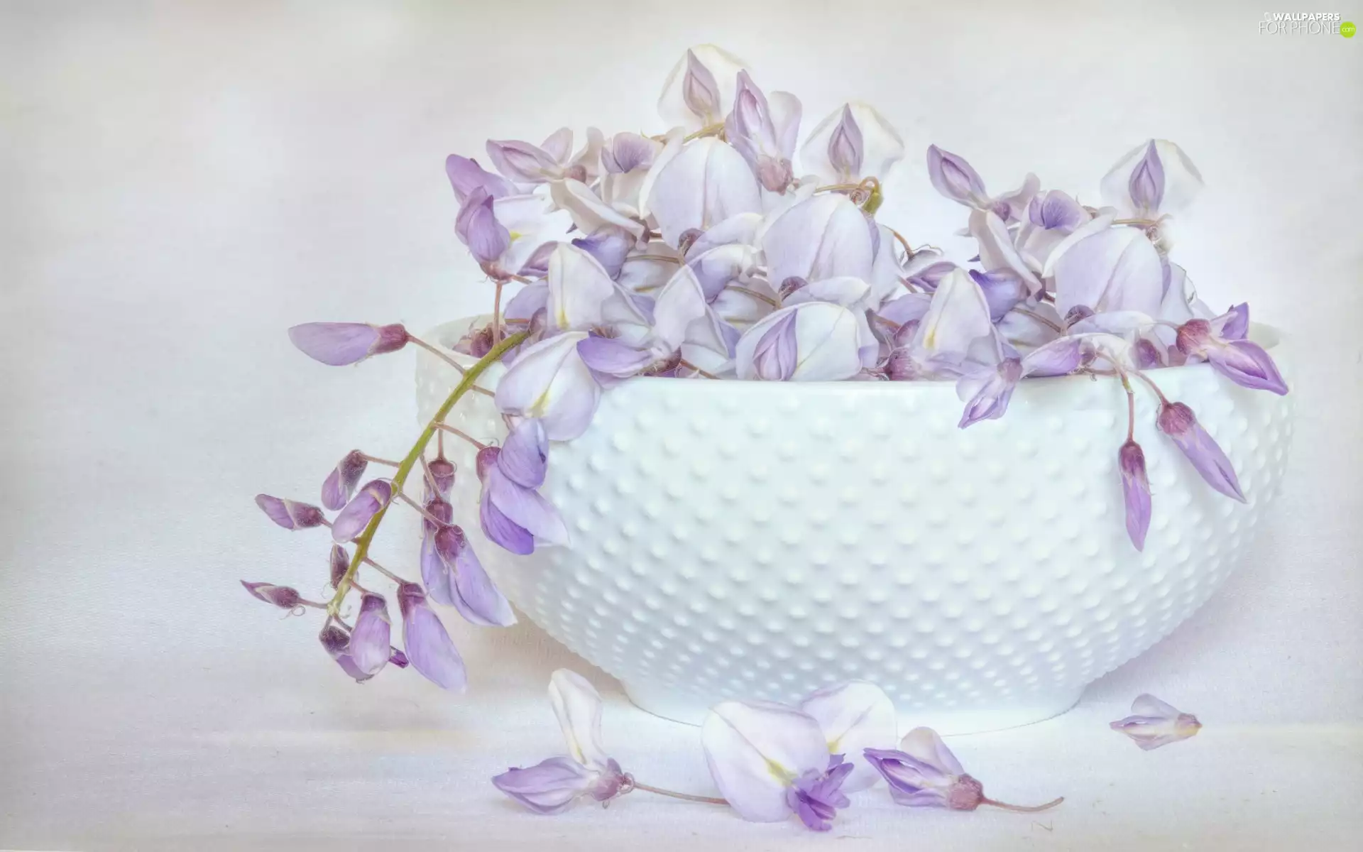 Flowers, vase, graphics, wistaria