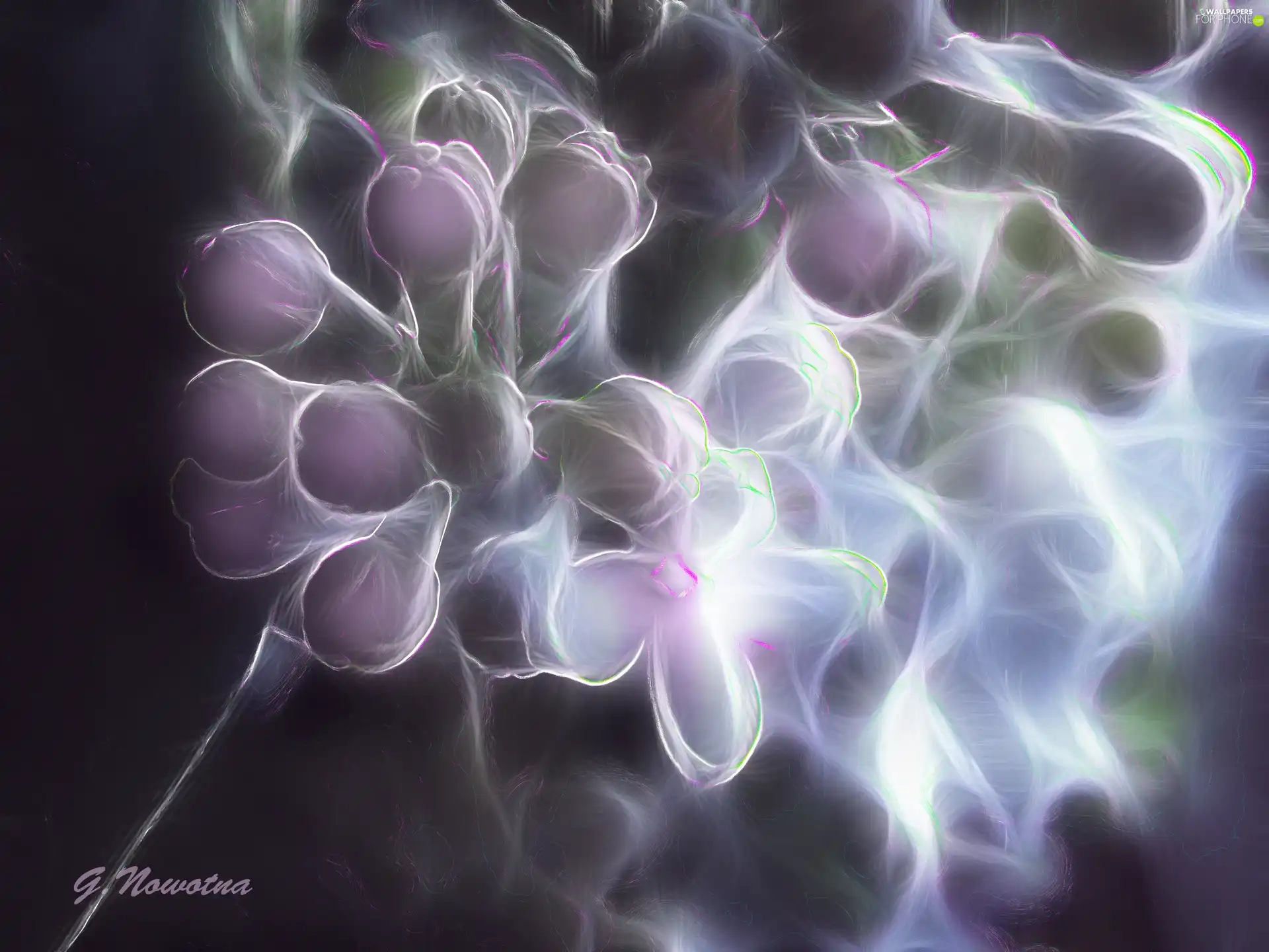 Violet, without