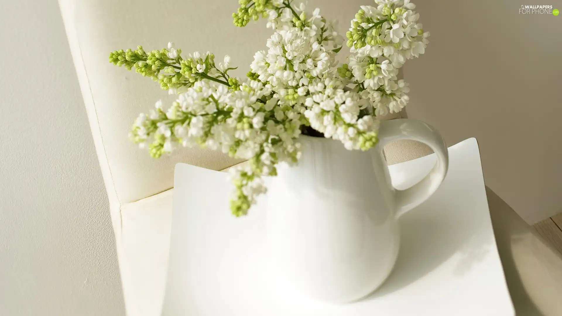 White, White, without, bowl