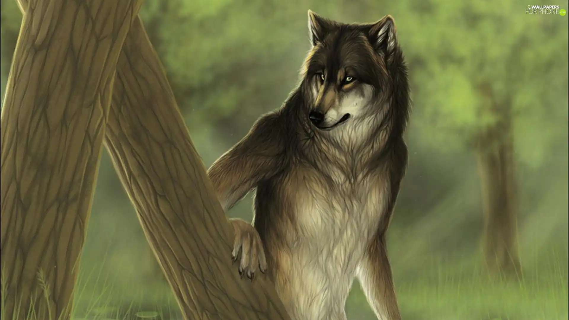 standing, Wolf