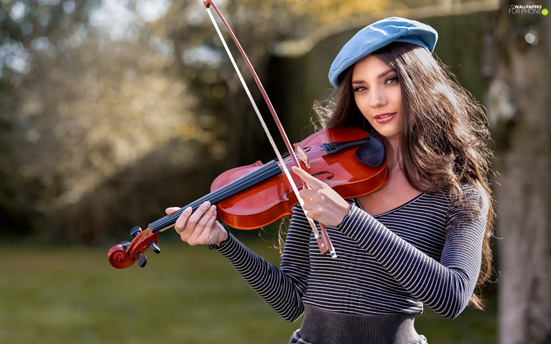 longhaired, violin, beret, The look, light brown, Women