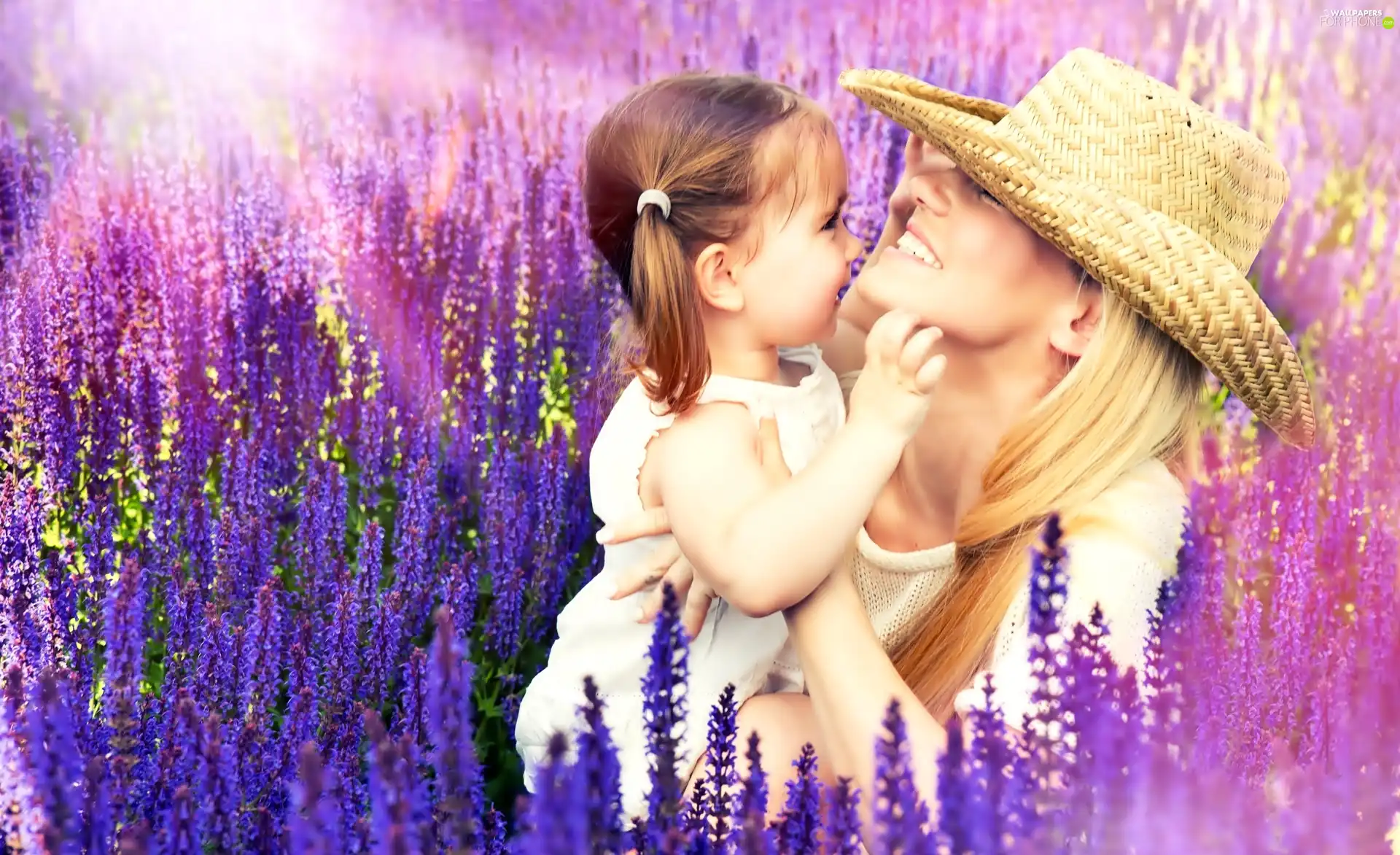 sun, lavender, Women, Hat, girl, rays