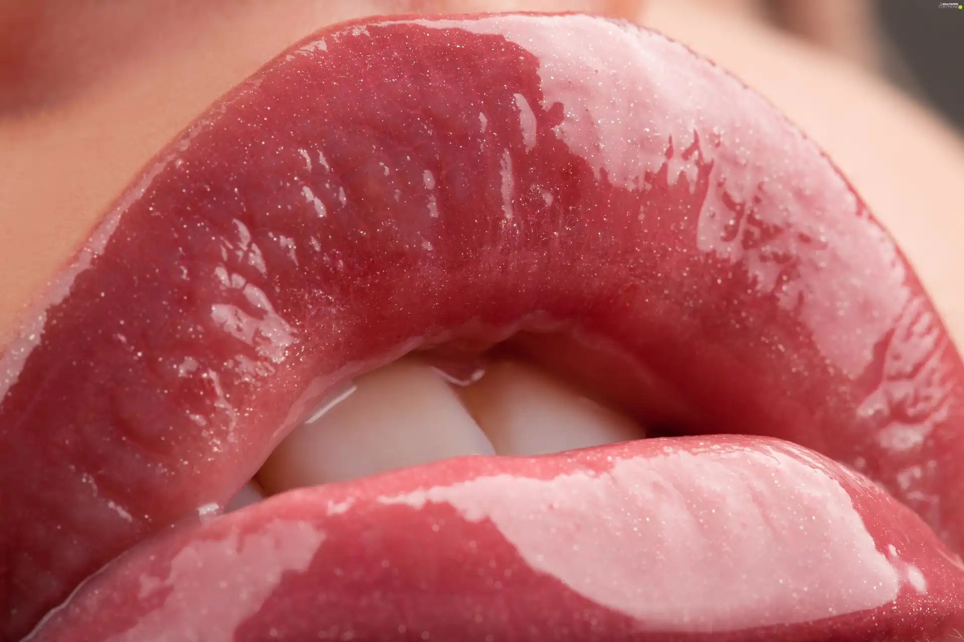Women, shiny, lips