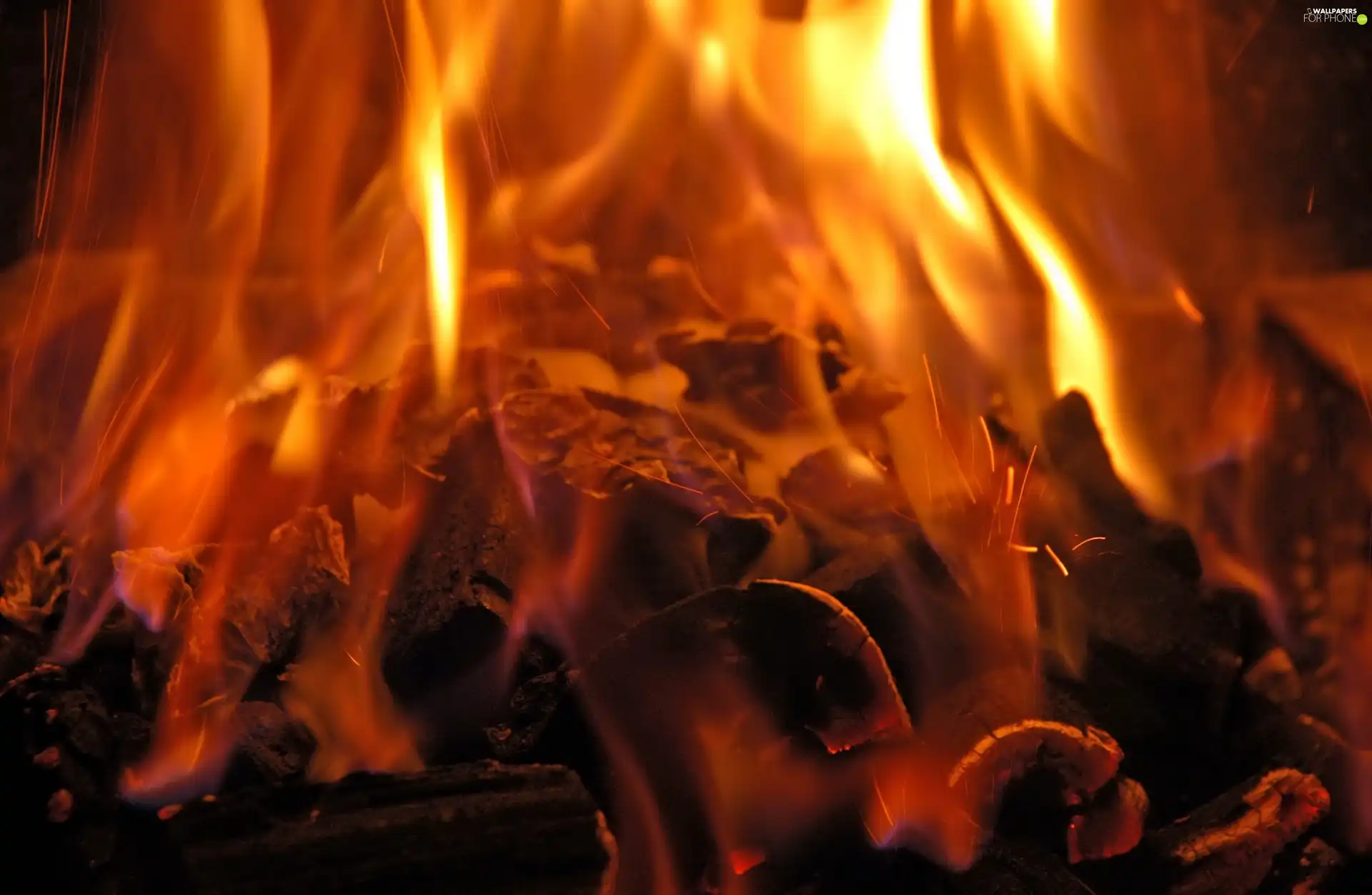 Flames, combustion, wood, Big Fire