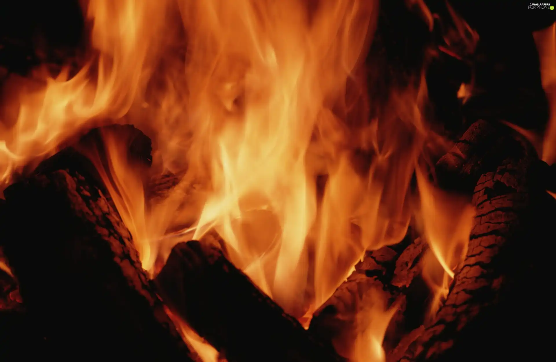 Flames, combustion, wood, Big Fire
