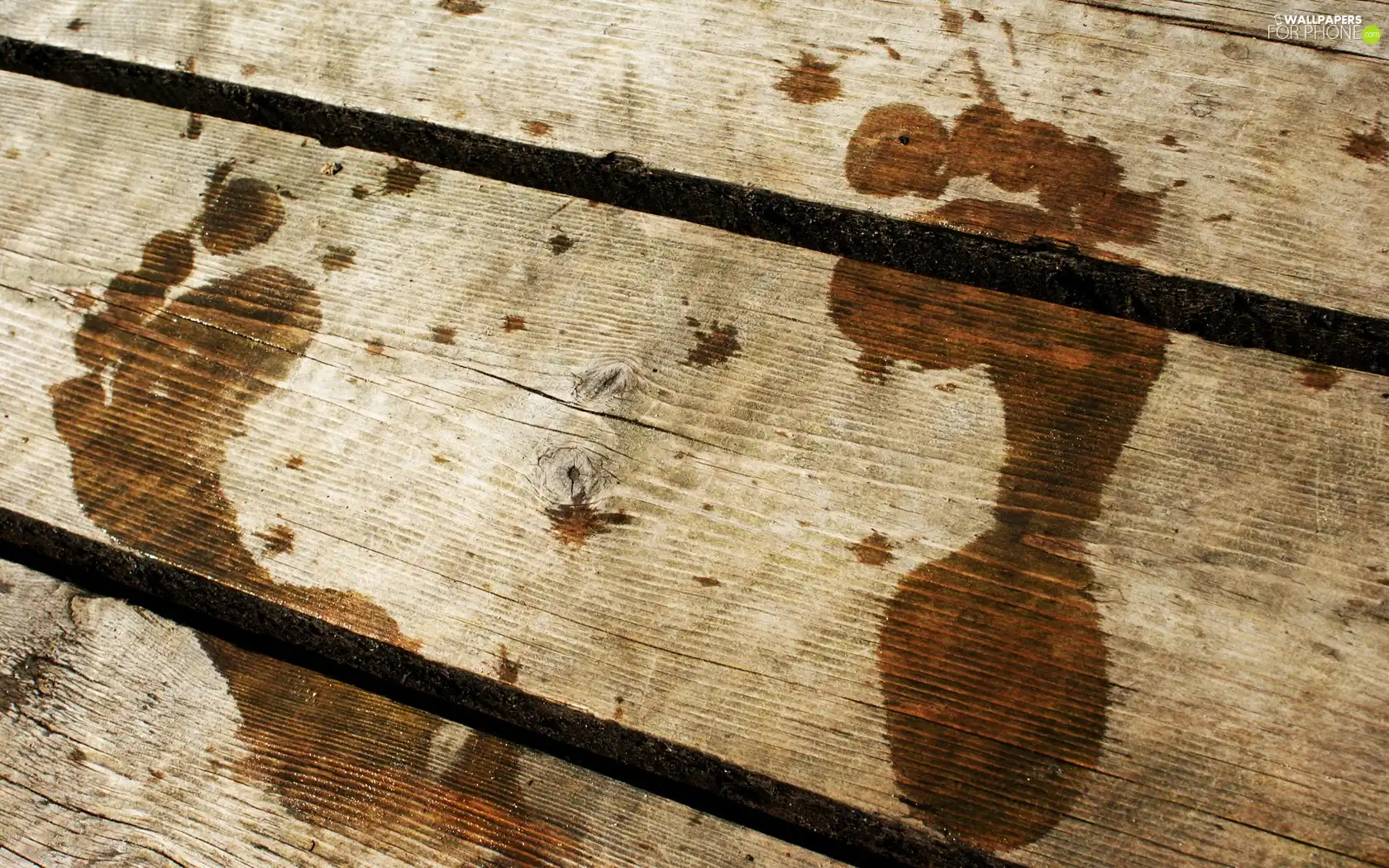 Wood, Foot, water