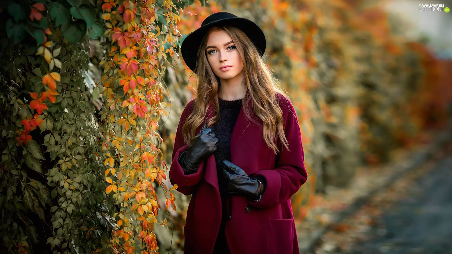 Cloak, Women, autumn, Woodbine, Hat, light brown