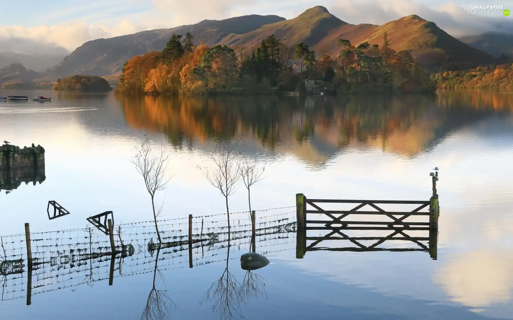 woods, autumn, Boats, Mountains, lake