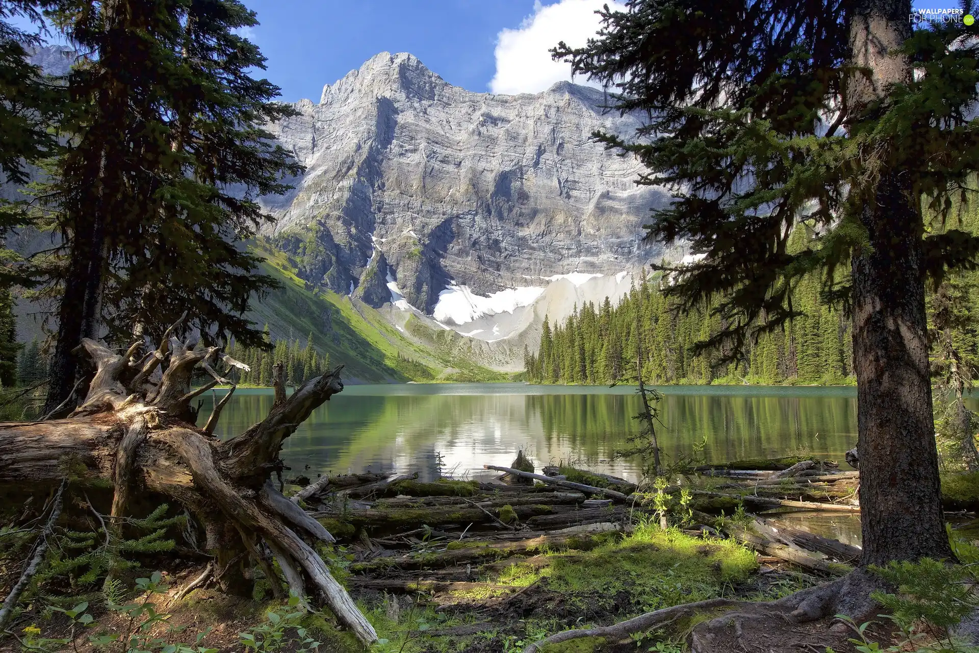 Mountains, Alberta, trees, Canada, Lake Rawson, woods, viewes