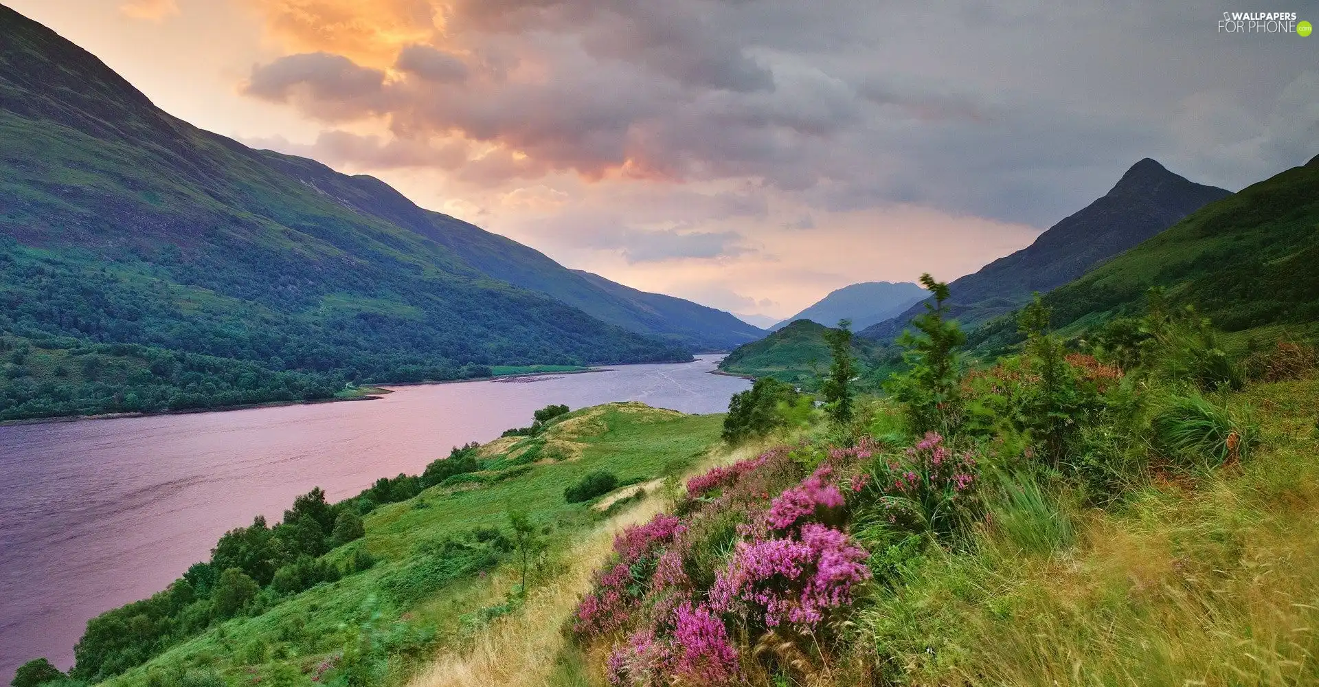 woods, clouds, Meadow, Mountains, lake