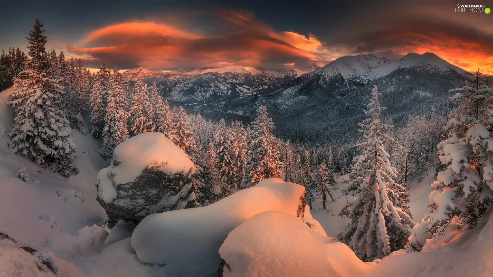 woods, trees, Poland, viewes, Tatry Mountains, Snowy, winter, Great Sunsets