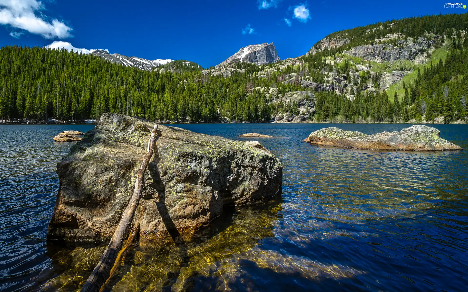 lake, Mountains, woods, Stones