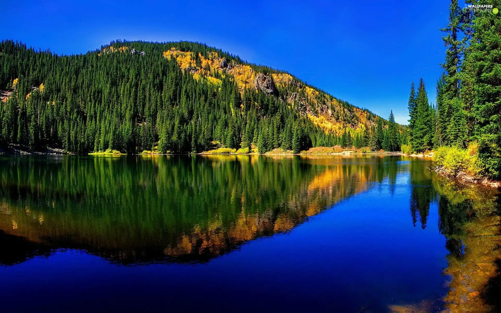 lake, reflection, woods, Mountains