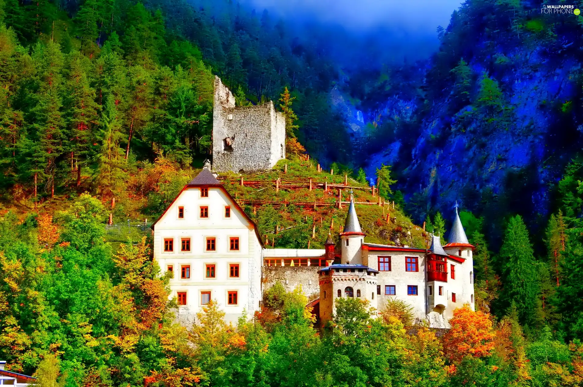 woods, Castle, Mountains