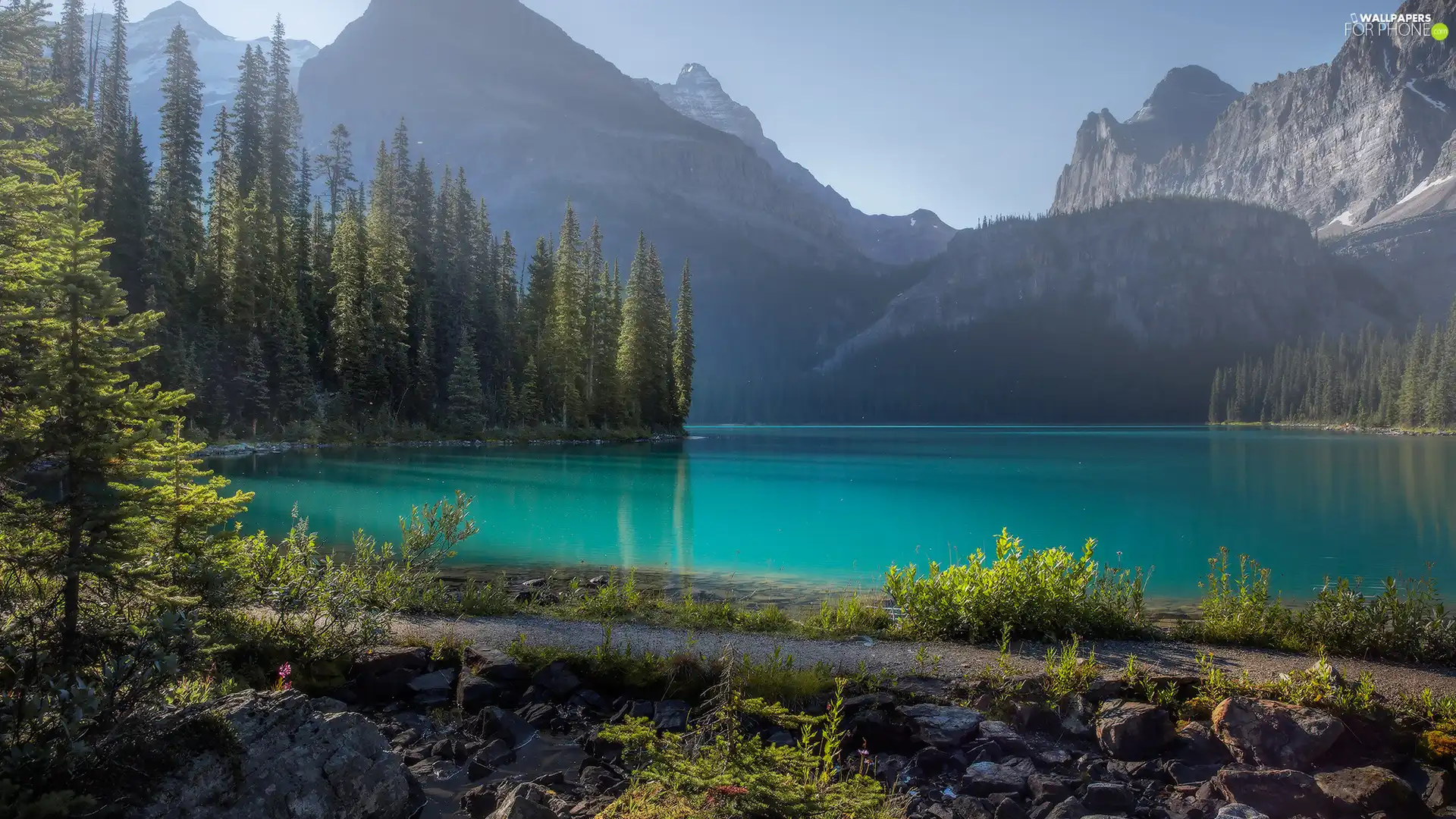 viewes, woods, Mountains, trees, lake