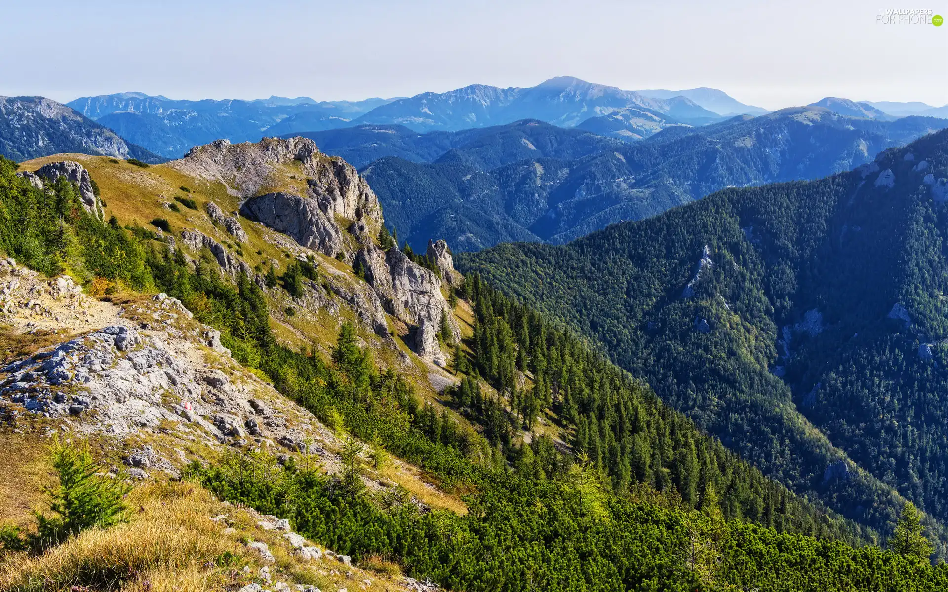 Styria, Austria, rocks, woods, Hochschwab Mountains