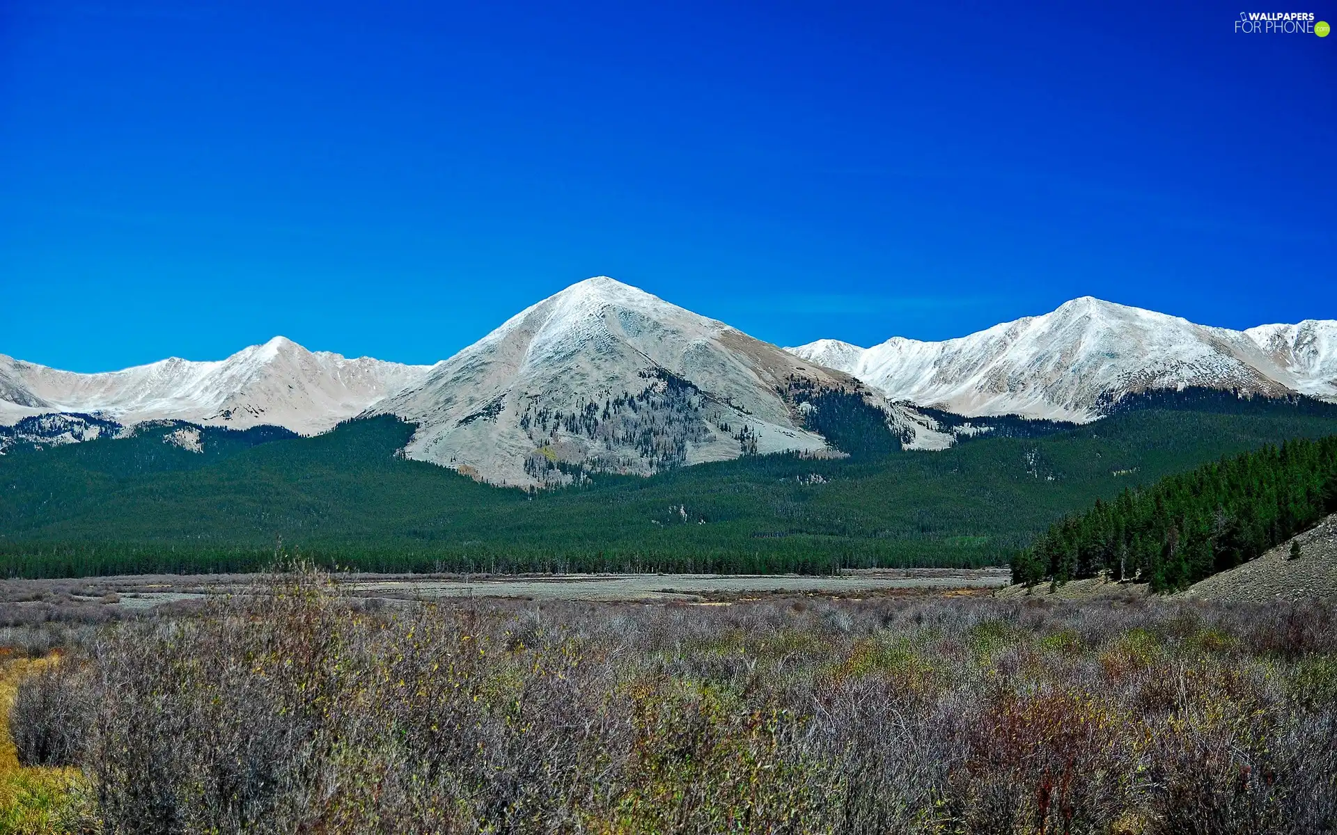 woods, River, Snowy, peaks, Mountains