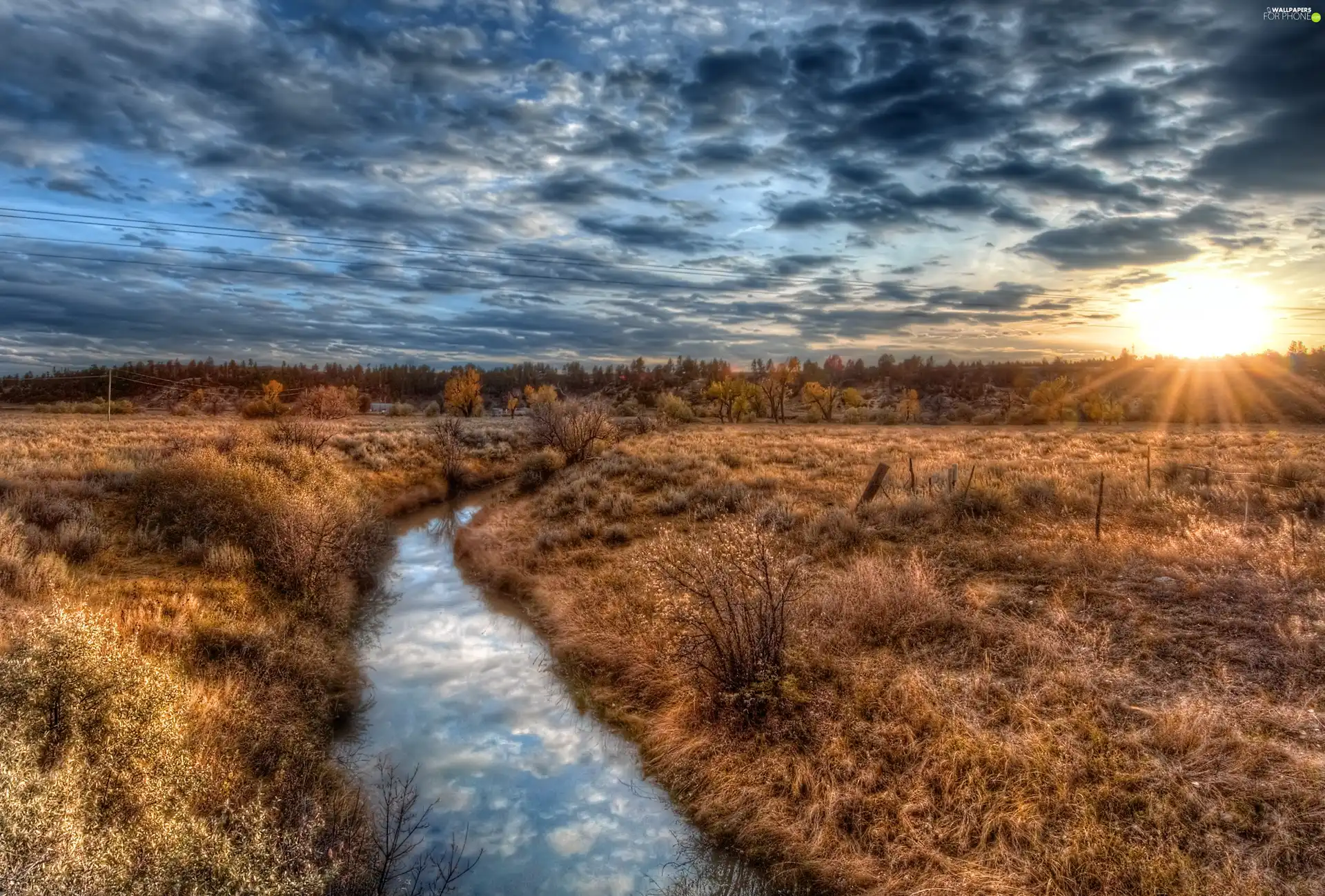 woods, River, sun, field, west