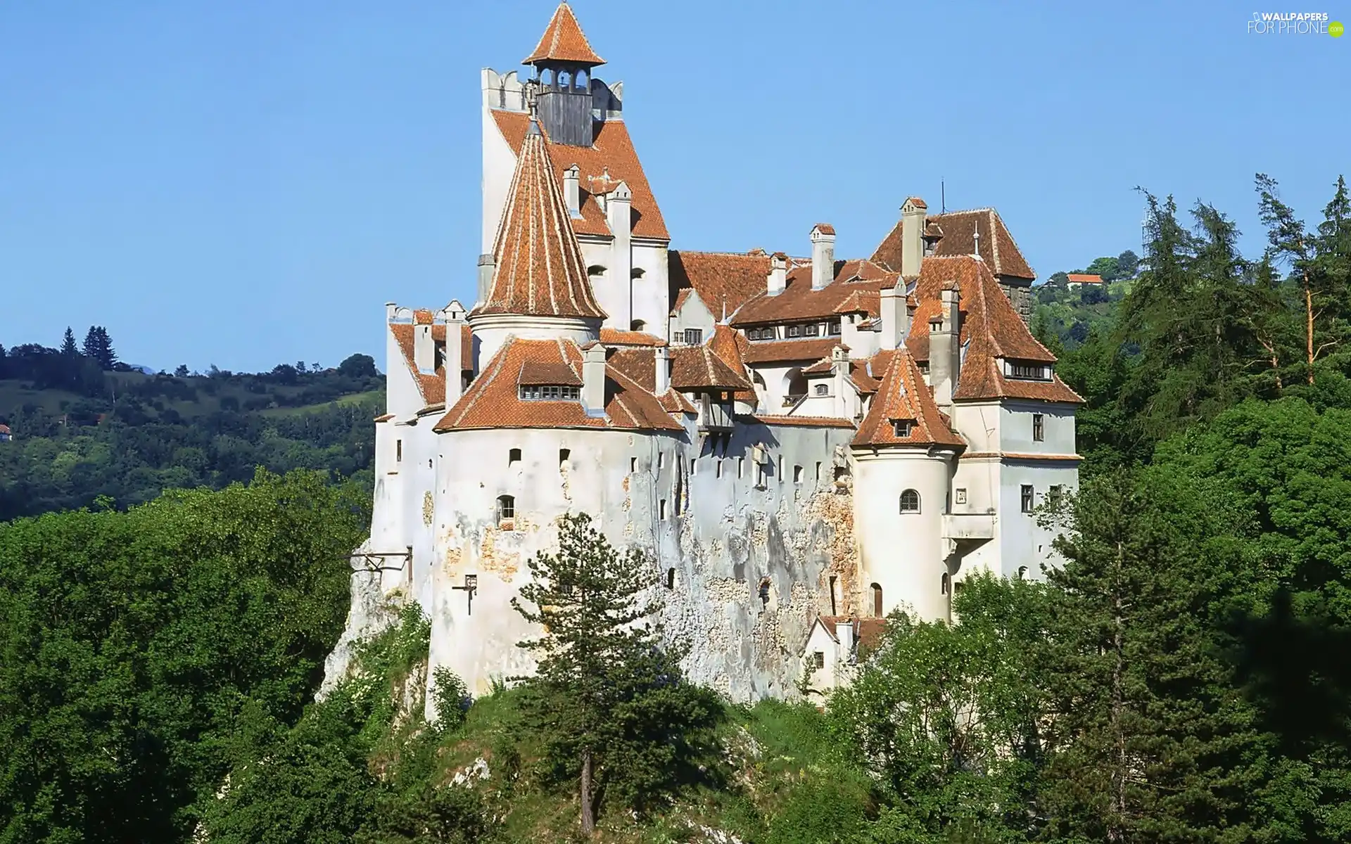 Romania, Castle, woods, Bran