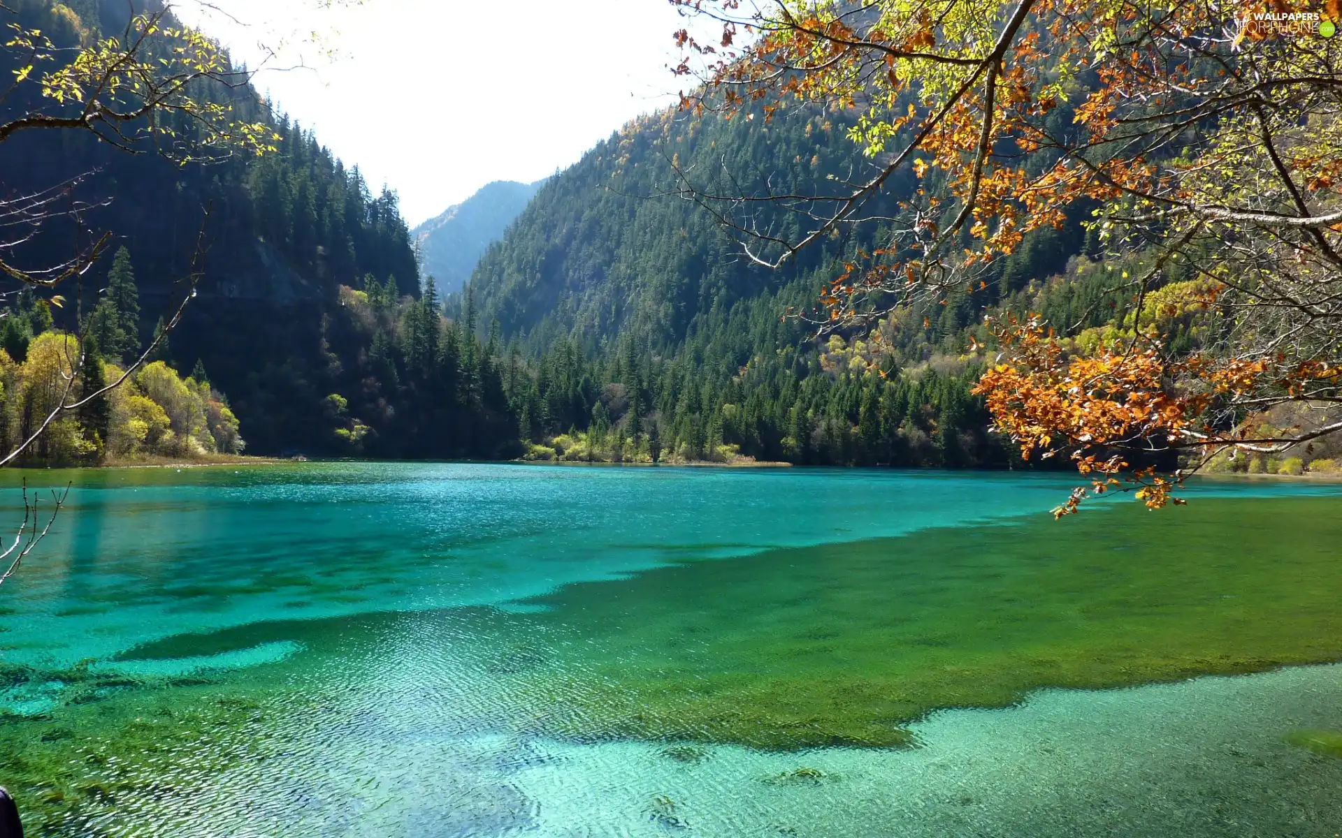 turquoise, Mountains, woods, lake