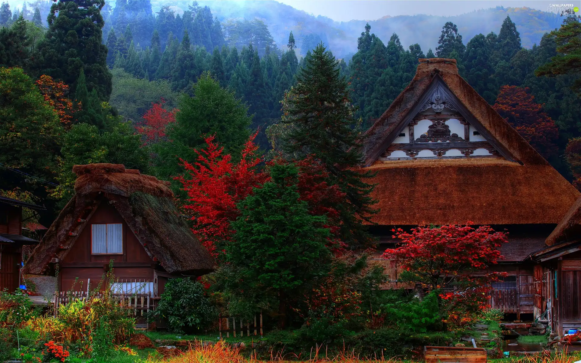 village, Mountains, woods, Houses