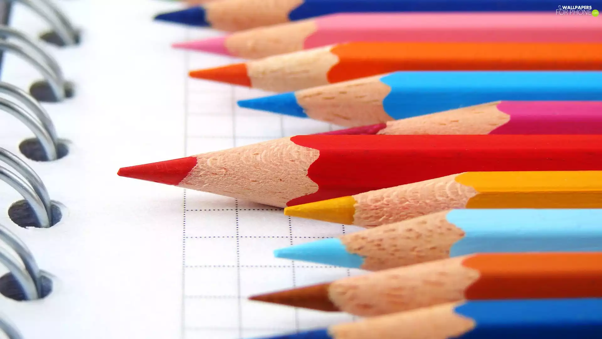 Workbook, school, crayons