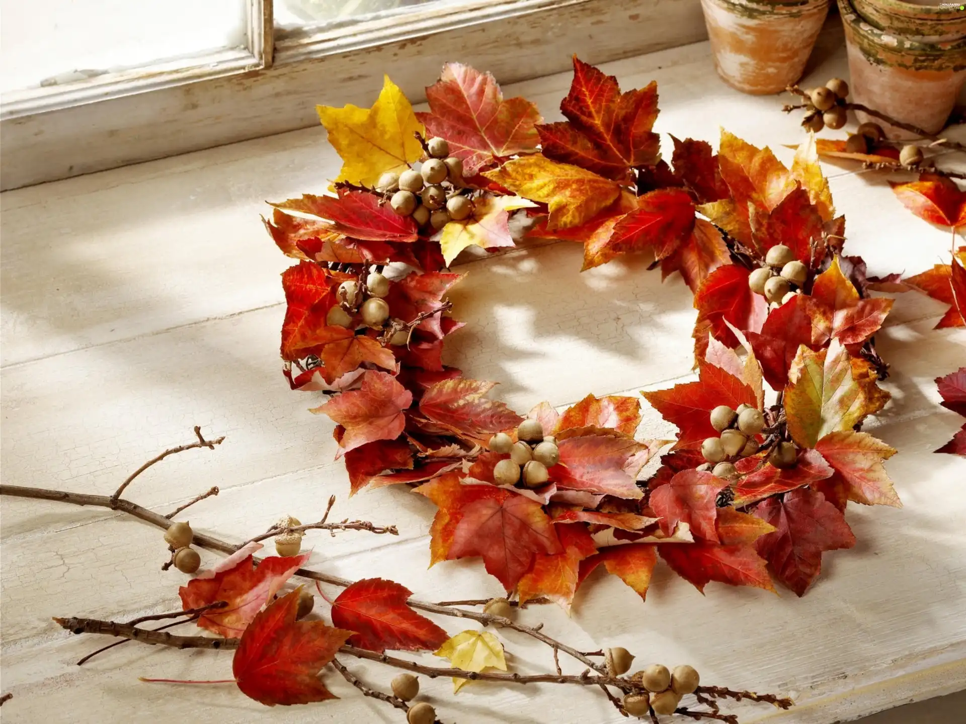 wreath, Autumn, Leaf