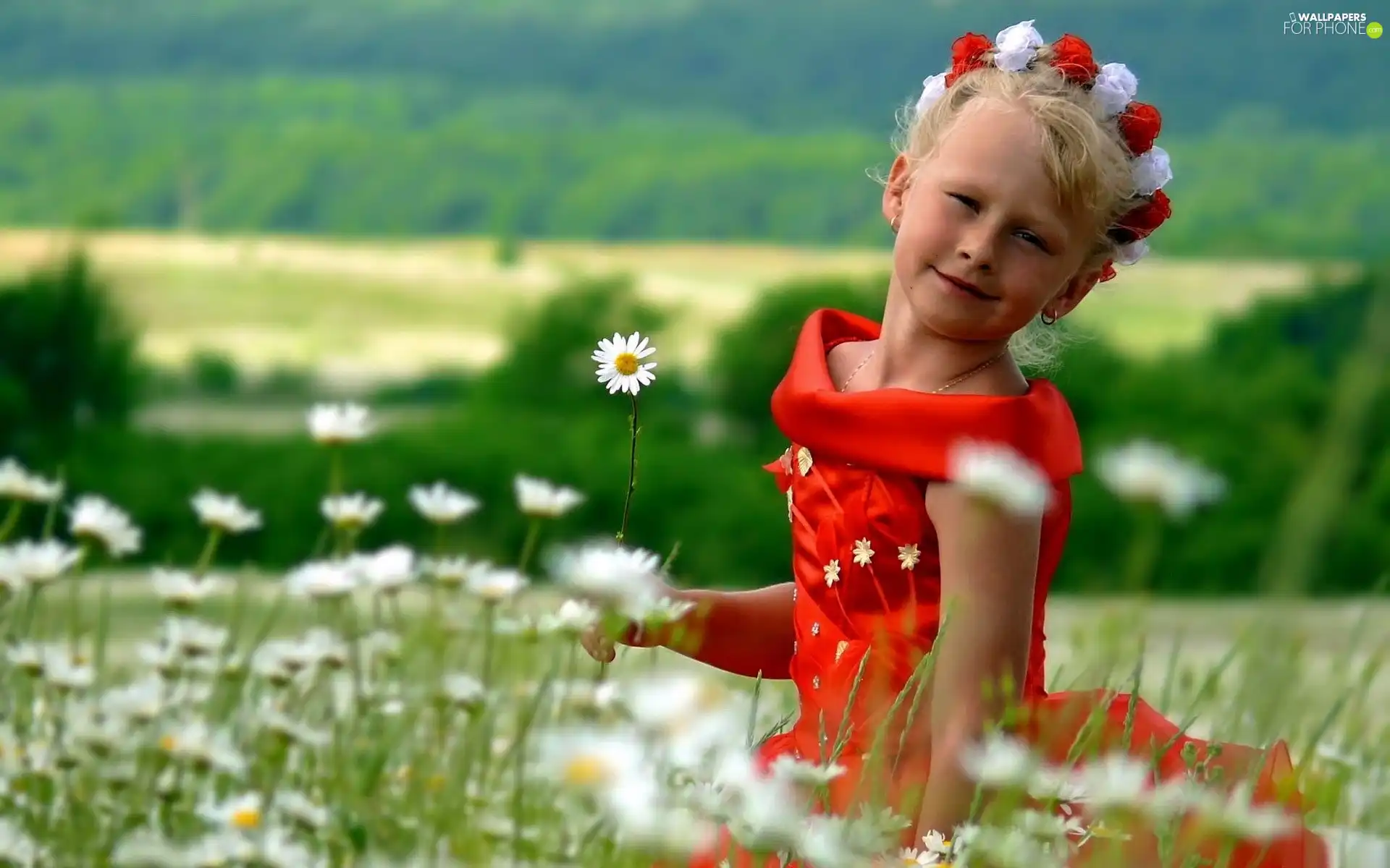 wreath, Meadow, red hot, dress, girl