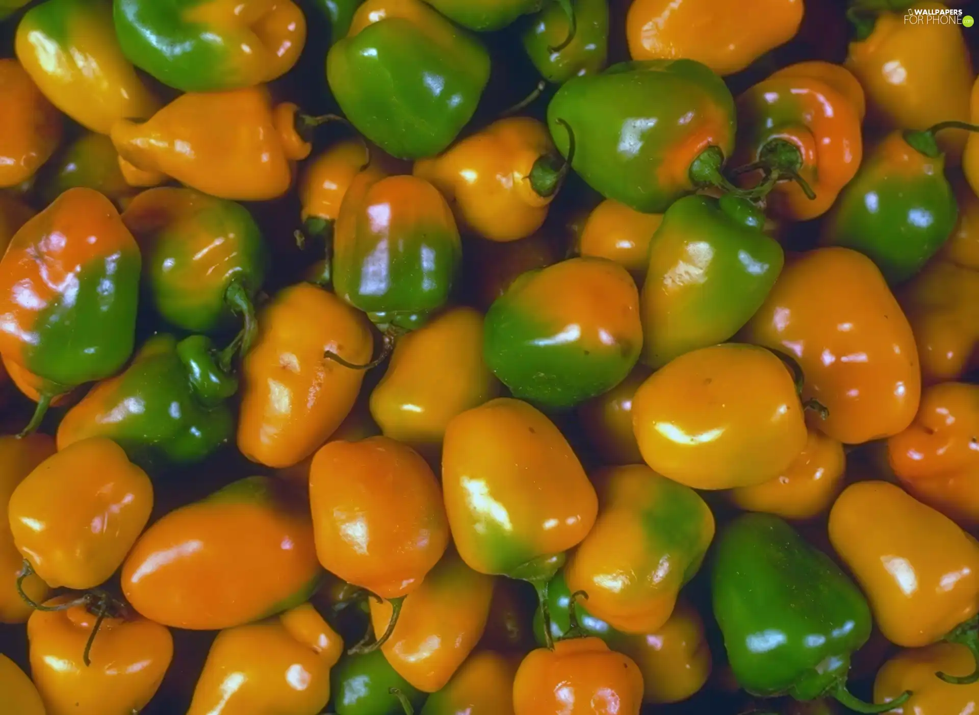 peppers, green ones, Yellow